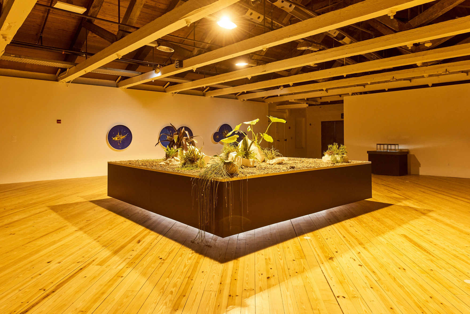 Glenn Kaino, In the Light of a Shadow