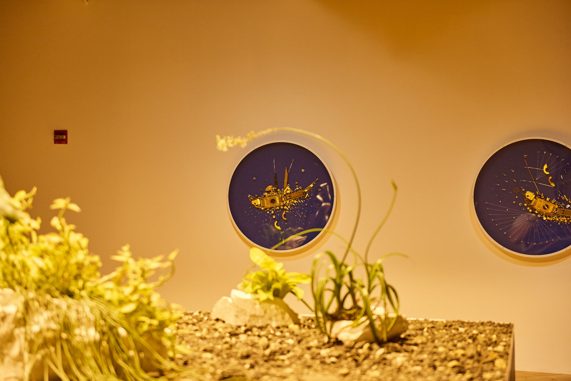 Glenn Kaino, In the Light of a Shadow