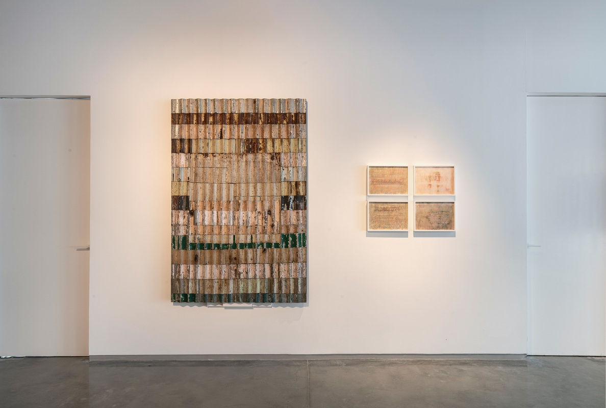 Manish Nai, Regenerative Visions