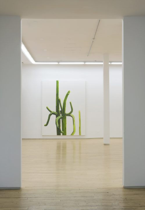 Claire Sherman, Palms Wild