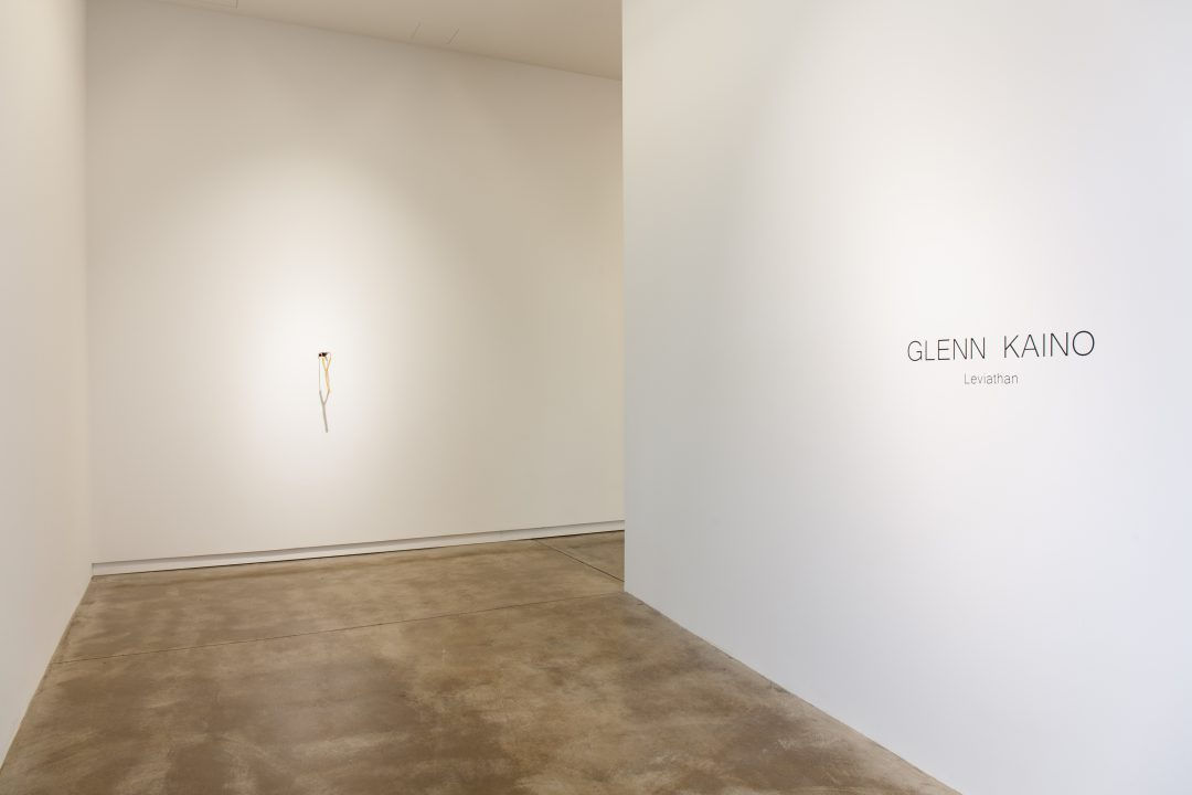 Glenn Kaino, Leviathan