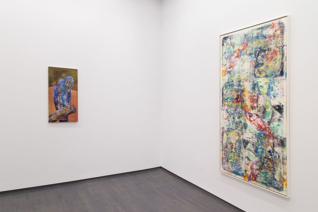 James Krone, An Ornithology For Birds