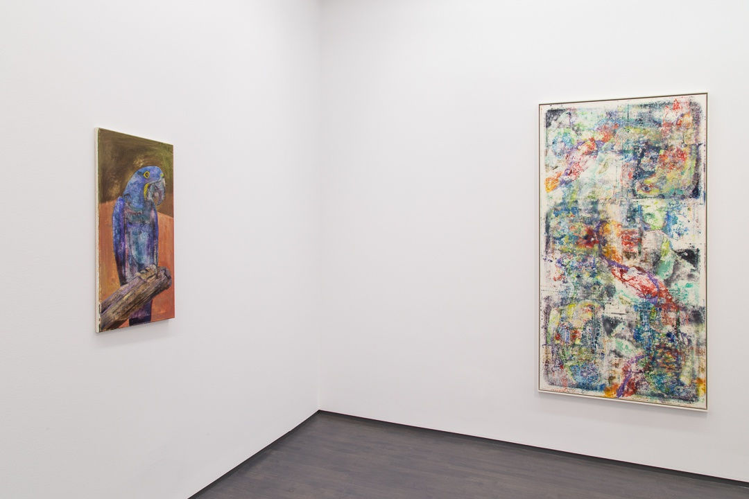 James Krone, An Ornithology For Birds