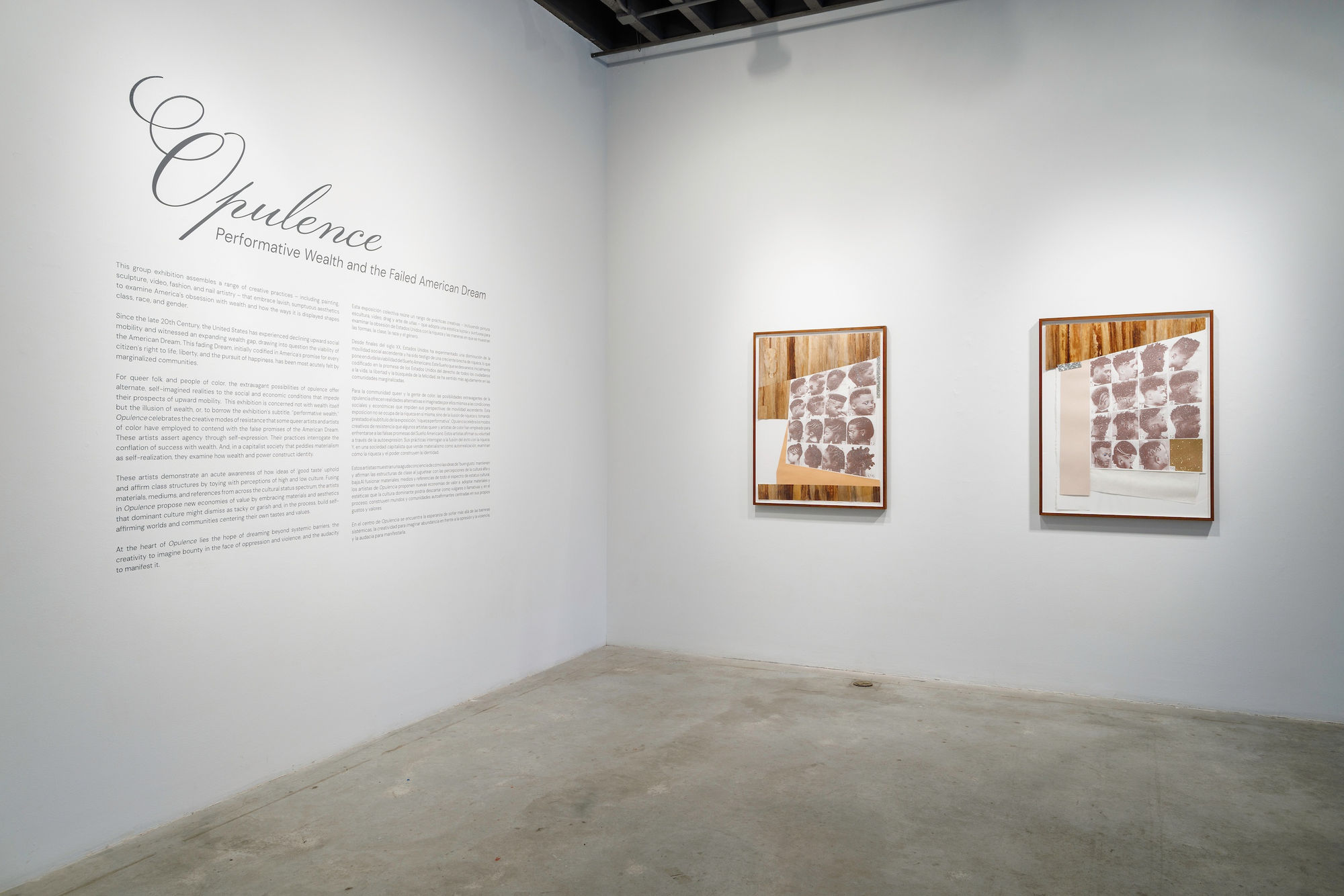 Devan Shimoyama in Opulence: Performative Wealth and the Failed American Dream