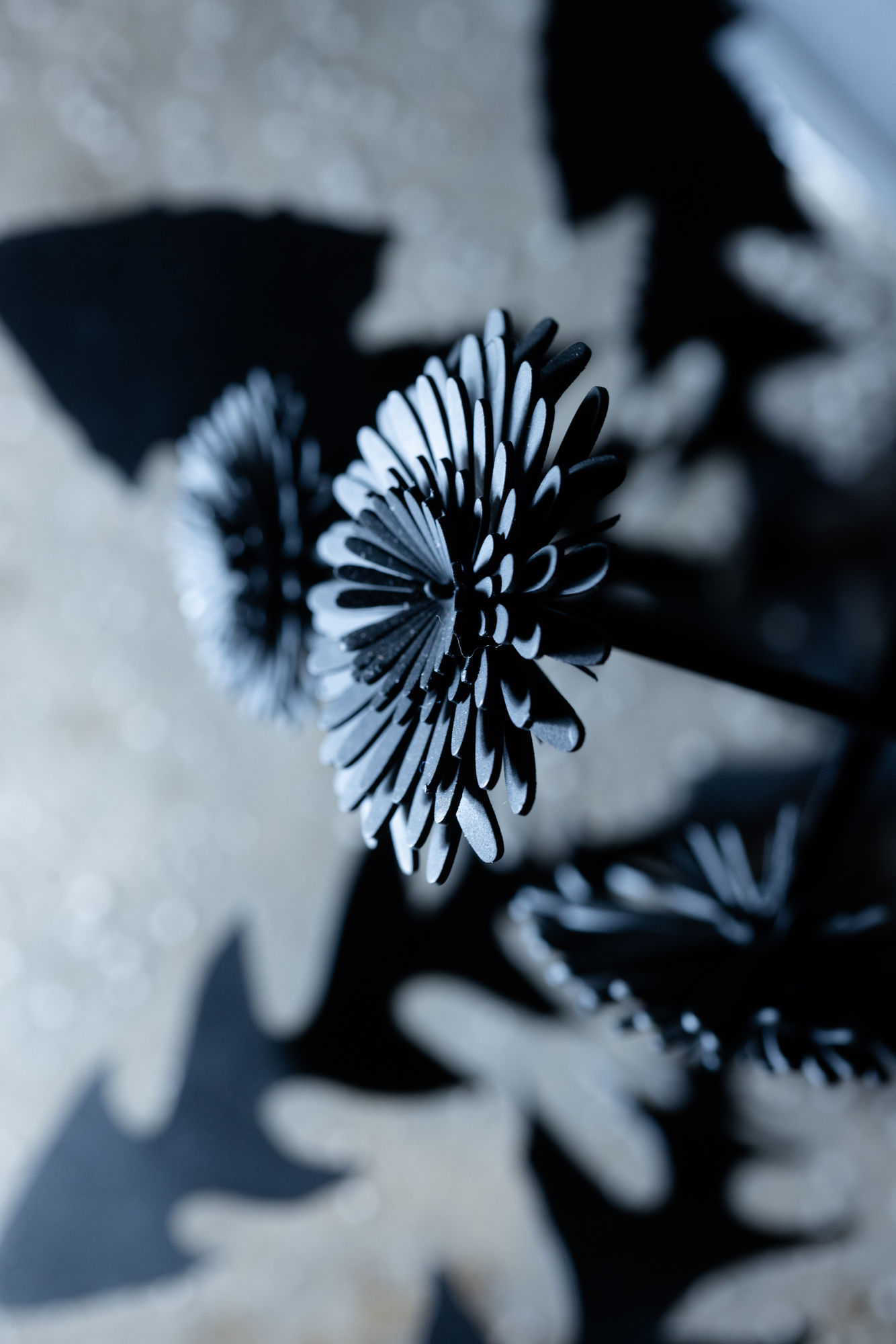 Esmaa Mohamoud: Let Them Consume Me In The Light