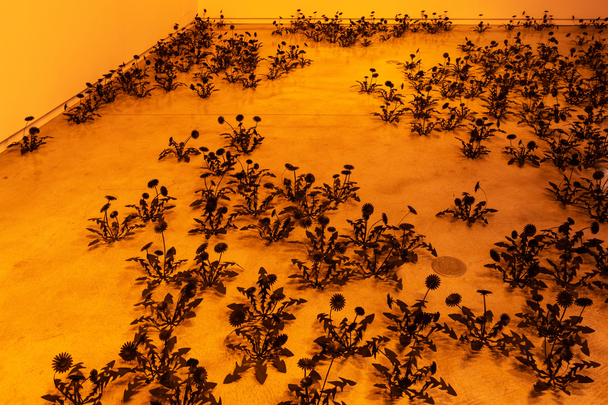 Esmaa Mohamoud: Let Them Consume Me In The Light