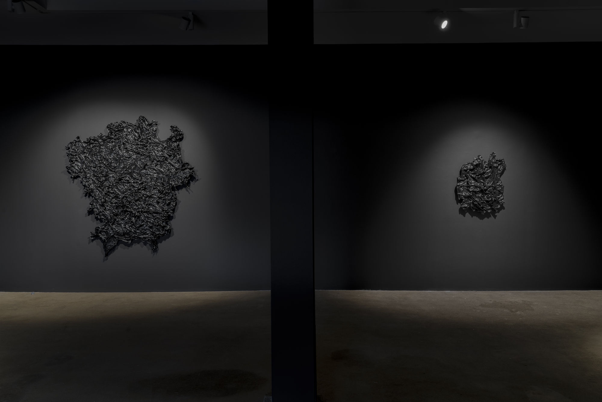 Allana Clarke: I Feel Everything