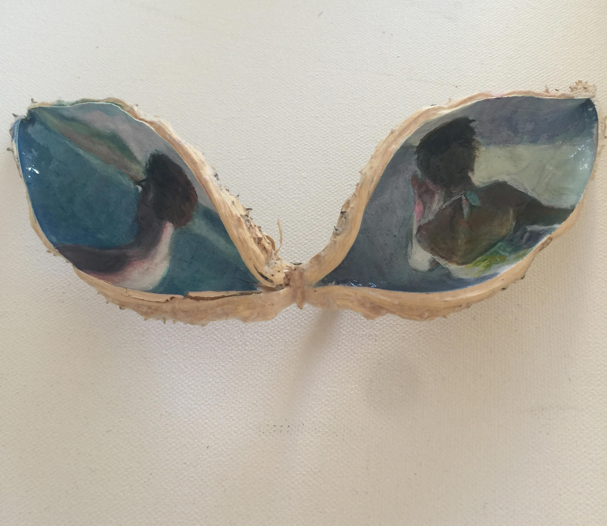 An Intimate History of Milkweed