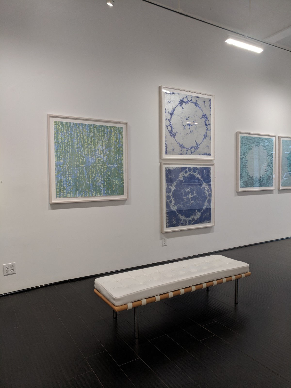 The World Alongside Ours