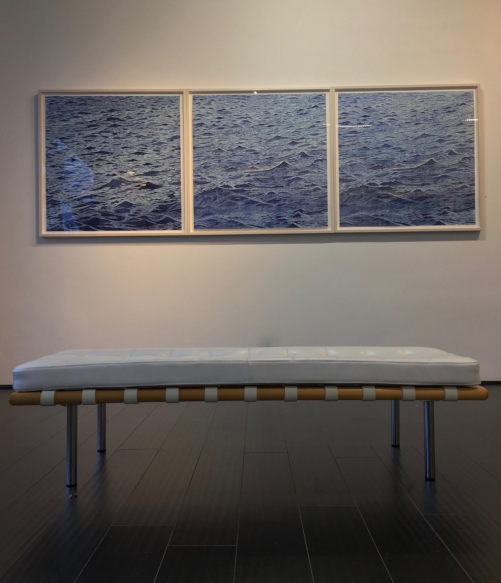 The World Alongside Ours