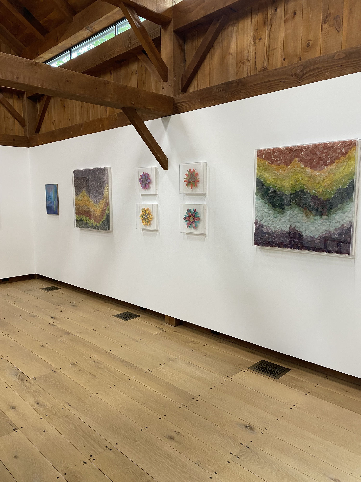 Installation view with pinned paper works by Jill Parisi