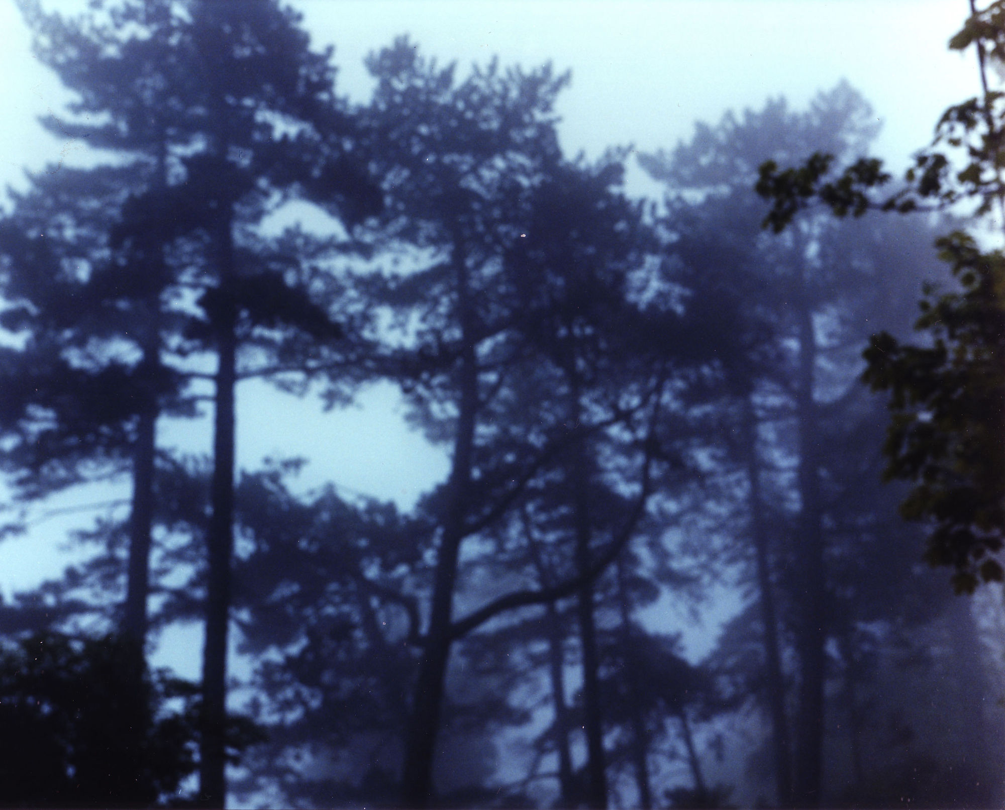 GARY COYLE, VICO ROAD, 2006