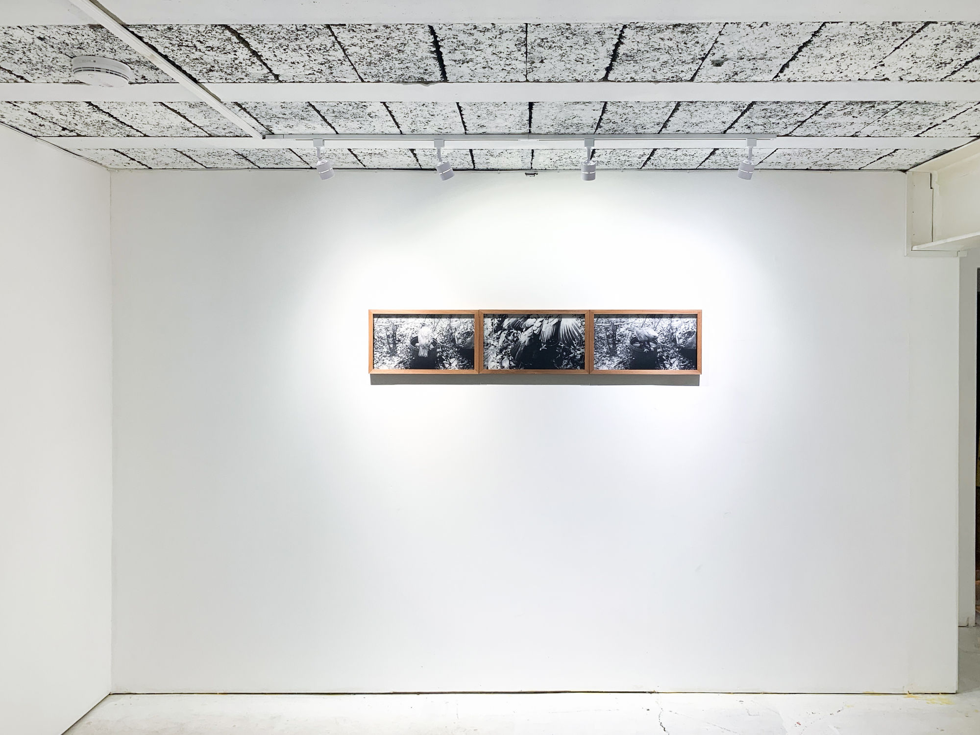 Tonight the Air is Warm