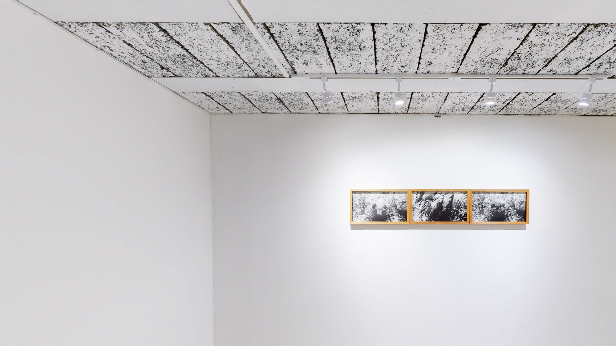 Tonight the Air is Warm