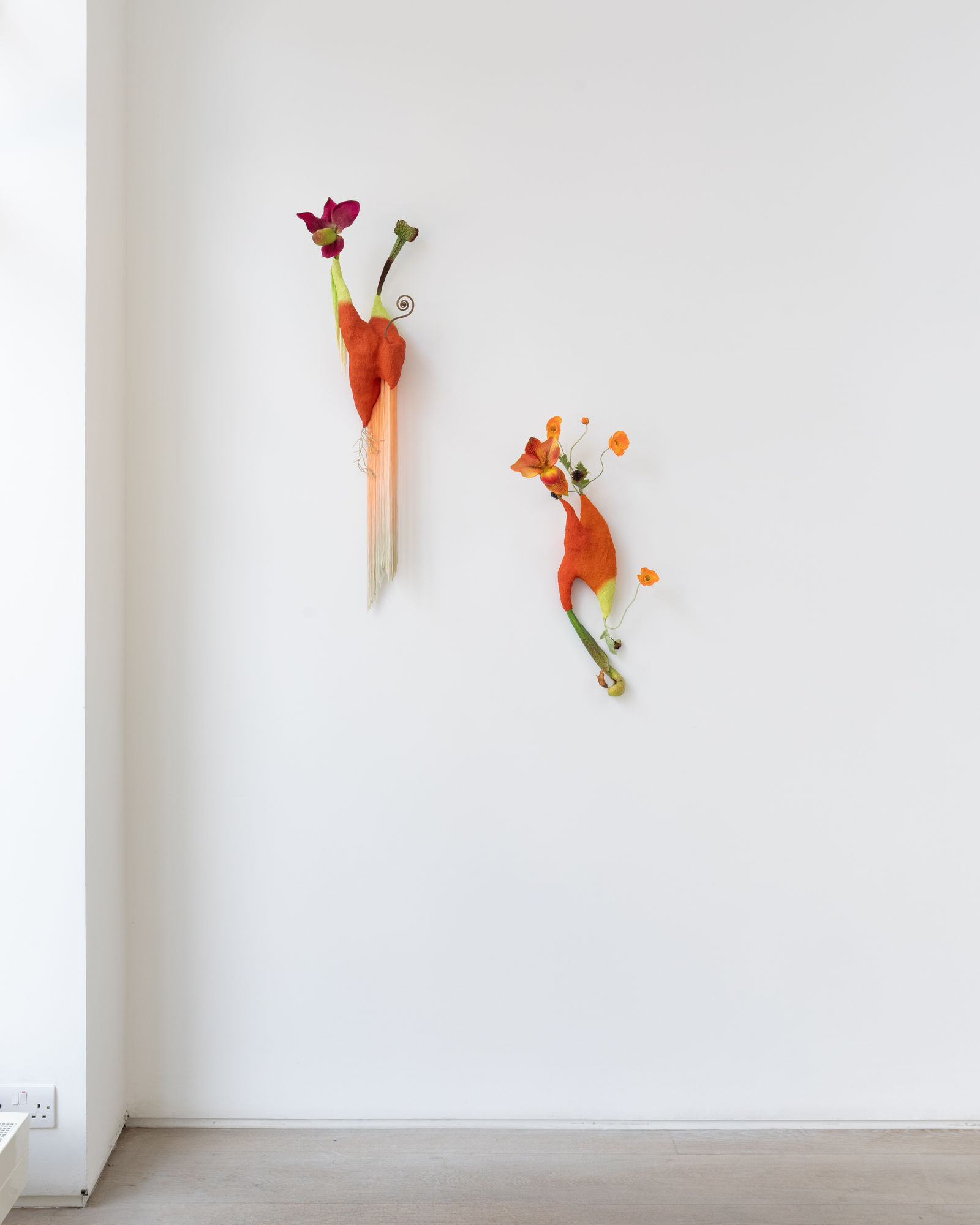 Midsummer Night's Dream