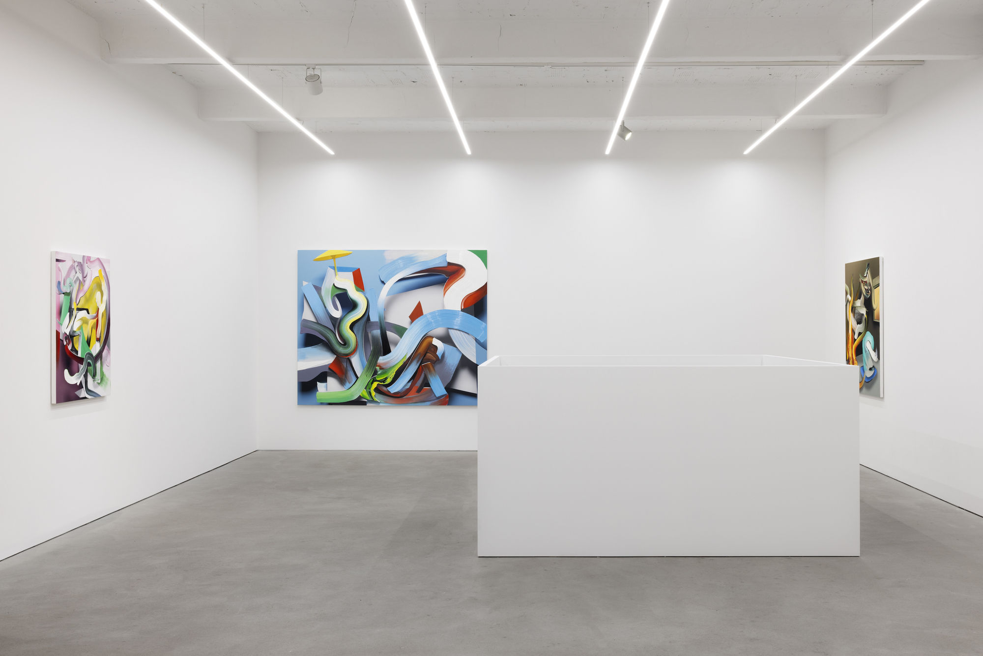 PIETER SCHOOLWERTH exhibition view, Thinking Through (13 Years), Kraupa-Tuskany Zeidler, Berlin, 2025