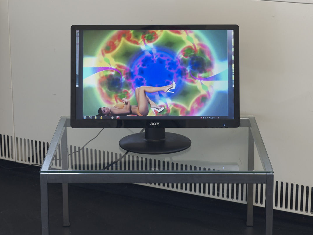 THE STILL LIFE OF VERNACULAR AGENTS