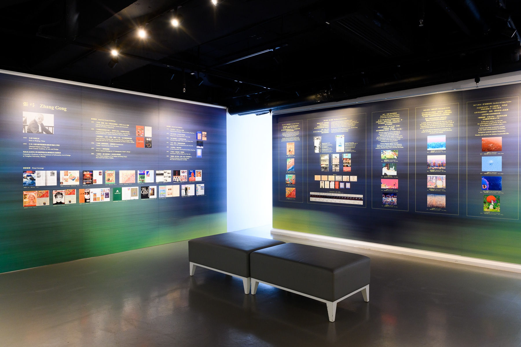 Beyond Description, Beyond Boundary - Paintings of Zhang Gong