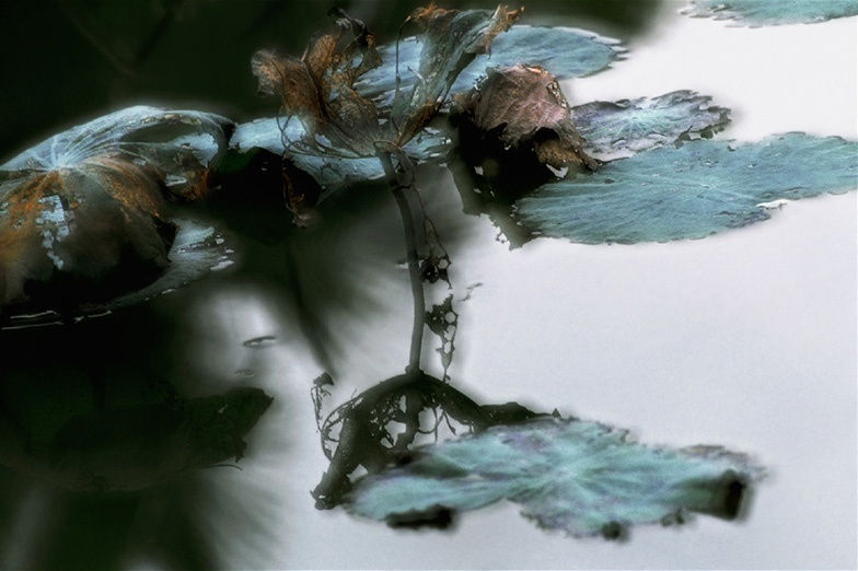 Leo K. K. Wong, Odile, 2003