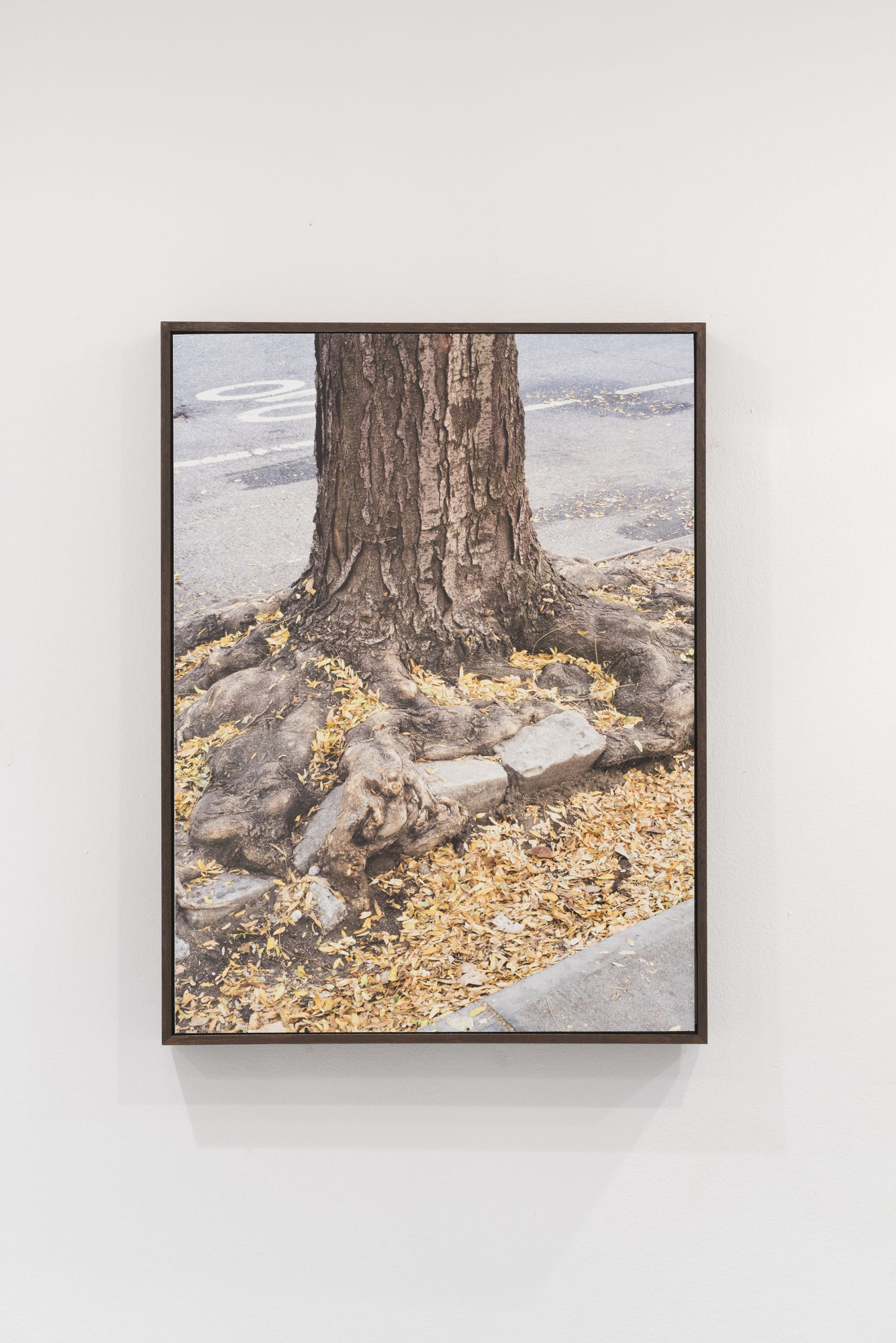 Polis (phusis), IV, 2016 Glicee print 34.6 x 46.1 cm Edition of 3