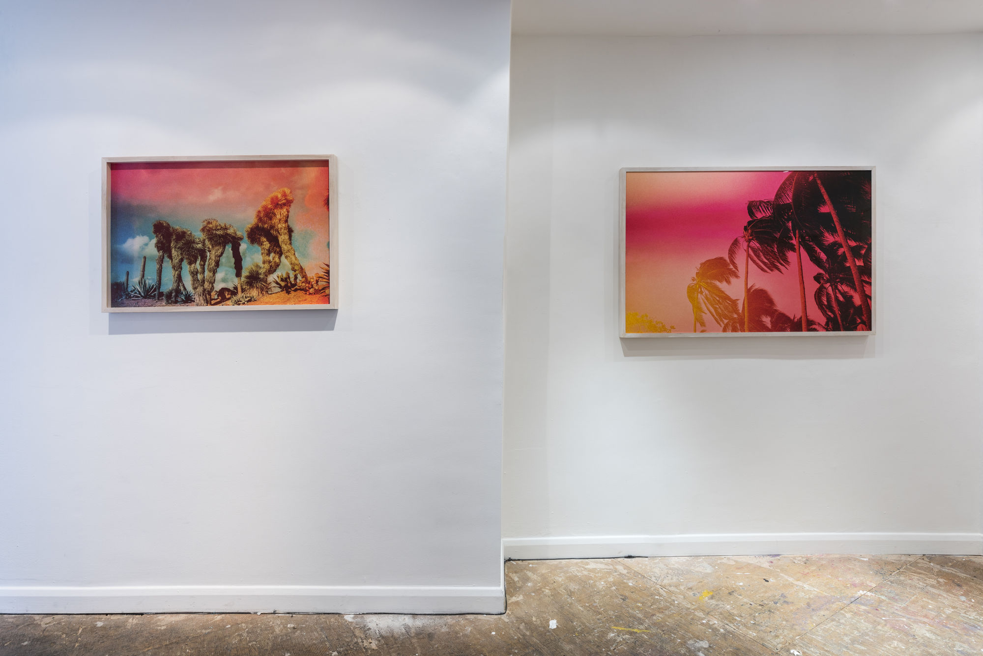 Night Sky Rising, Kate Bellm