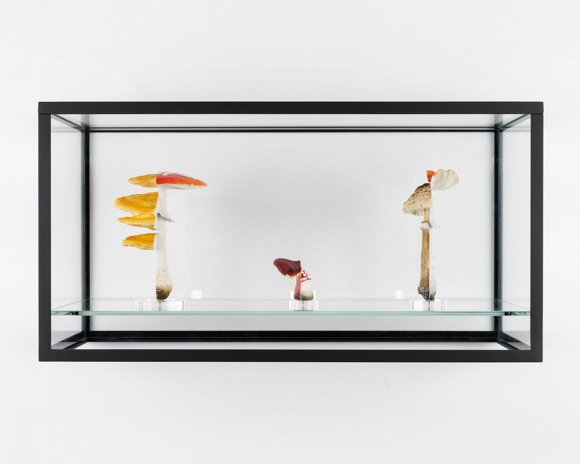 Carsten Höller Double Mushroom Vitrine (Threefold), 2021 Polyurethane, acrylic paint, glass, metal and powder-coated metal