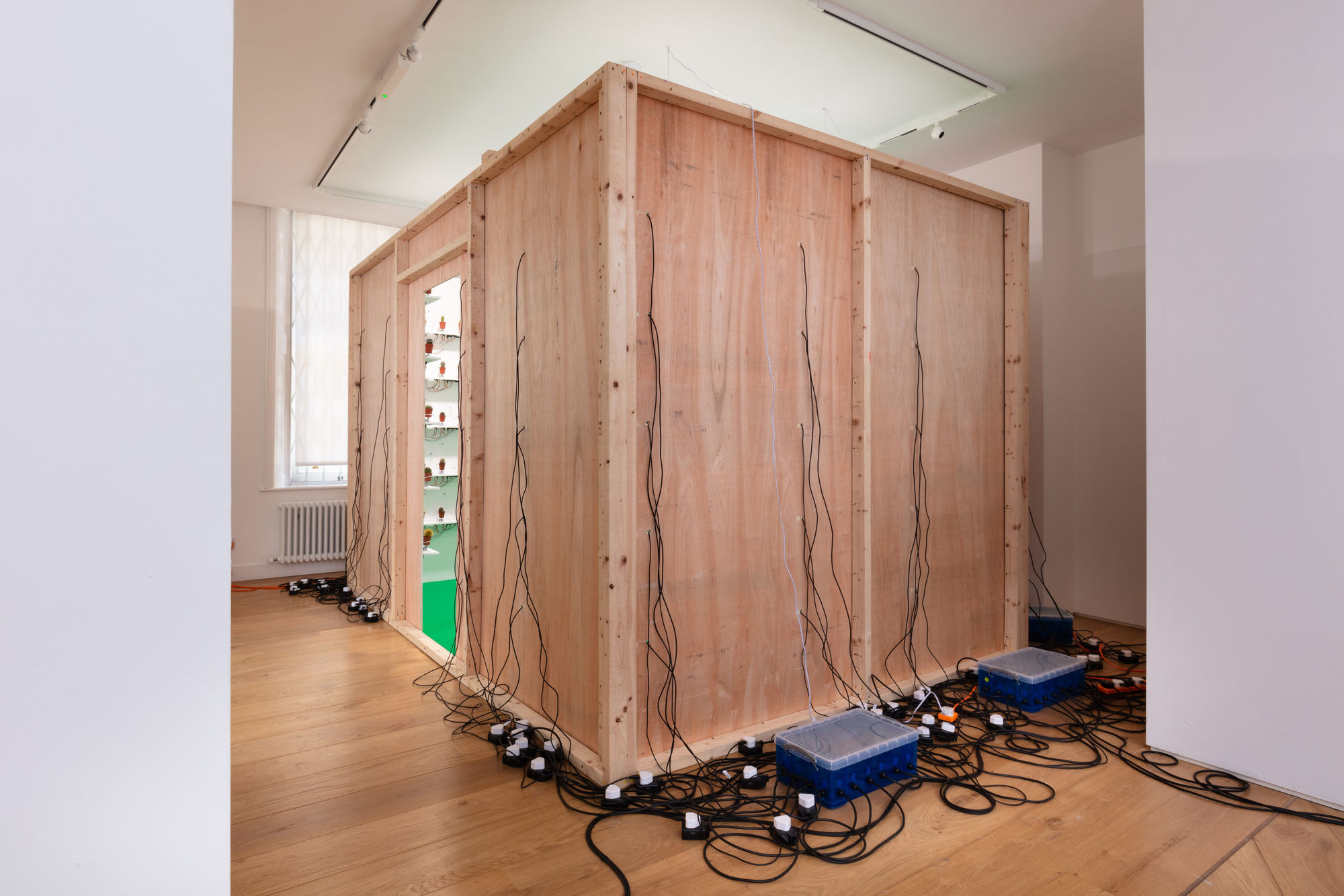 Clara Hastrup: Organic Behaviours