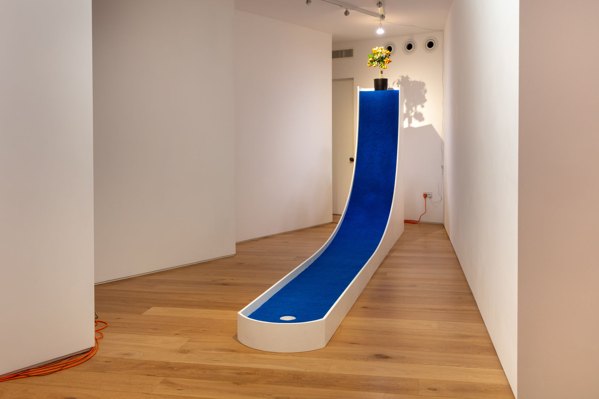 Clara Hastrup: Organic Behaviours