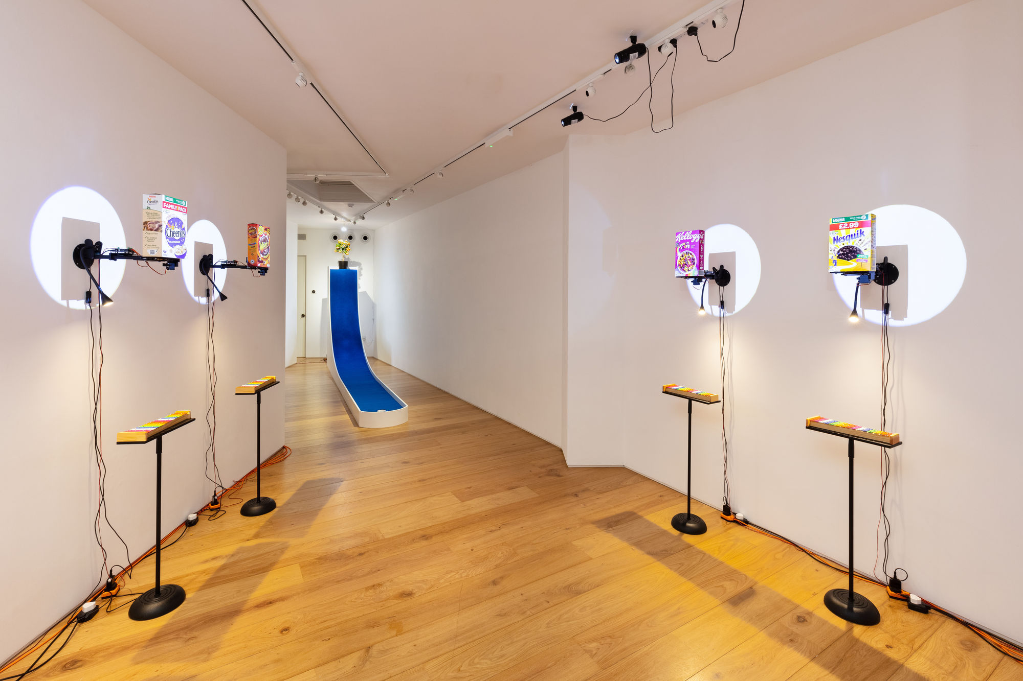 Clara Hastrup: Organic Behaviours