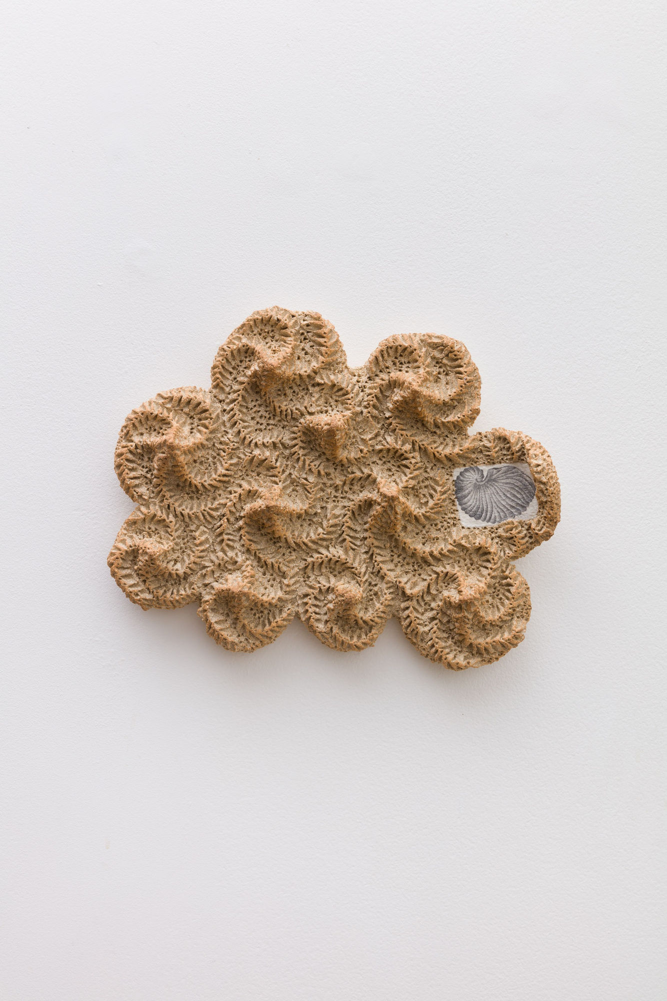 Ayla Tavares sand 5, 2024 Graphite on ceramic