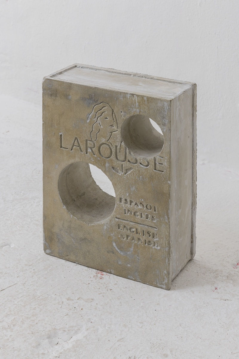 Ignacio Gatica Larousse ingles-español , 2017