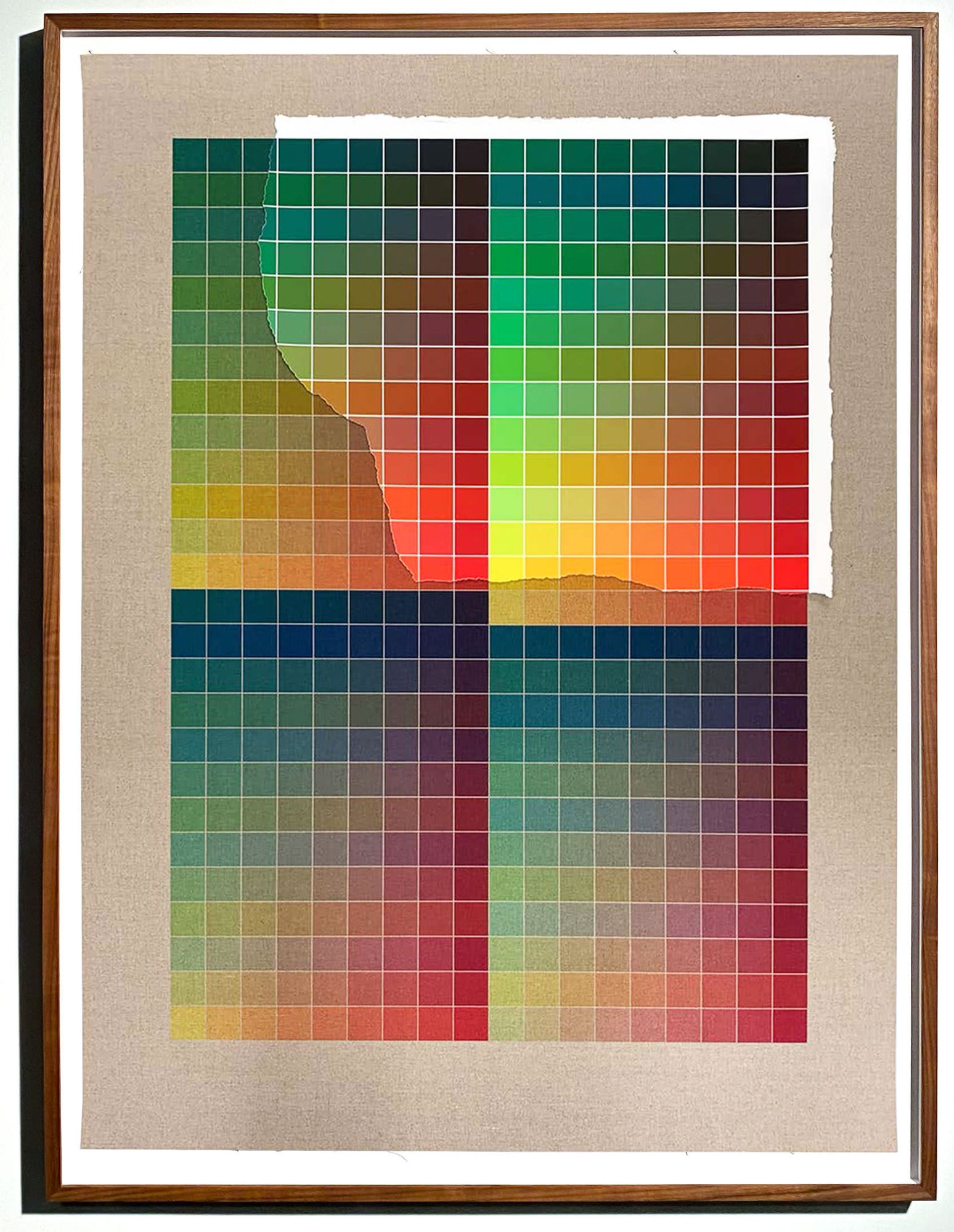 ANALIA SABAN Transcending Pigment from Paint to Canvas, from Canvas to Paint (Color) #2, 2020 No. VII