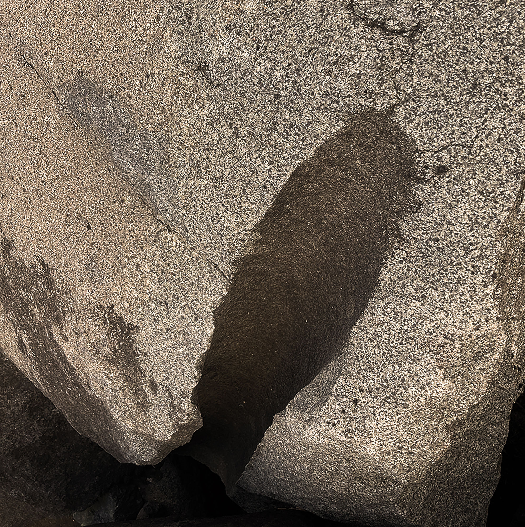 Dhara Rivera, Violencia al filo