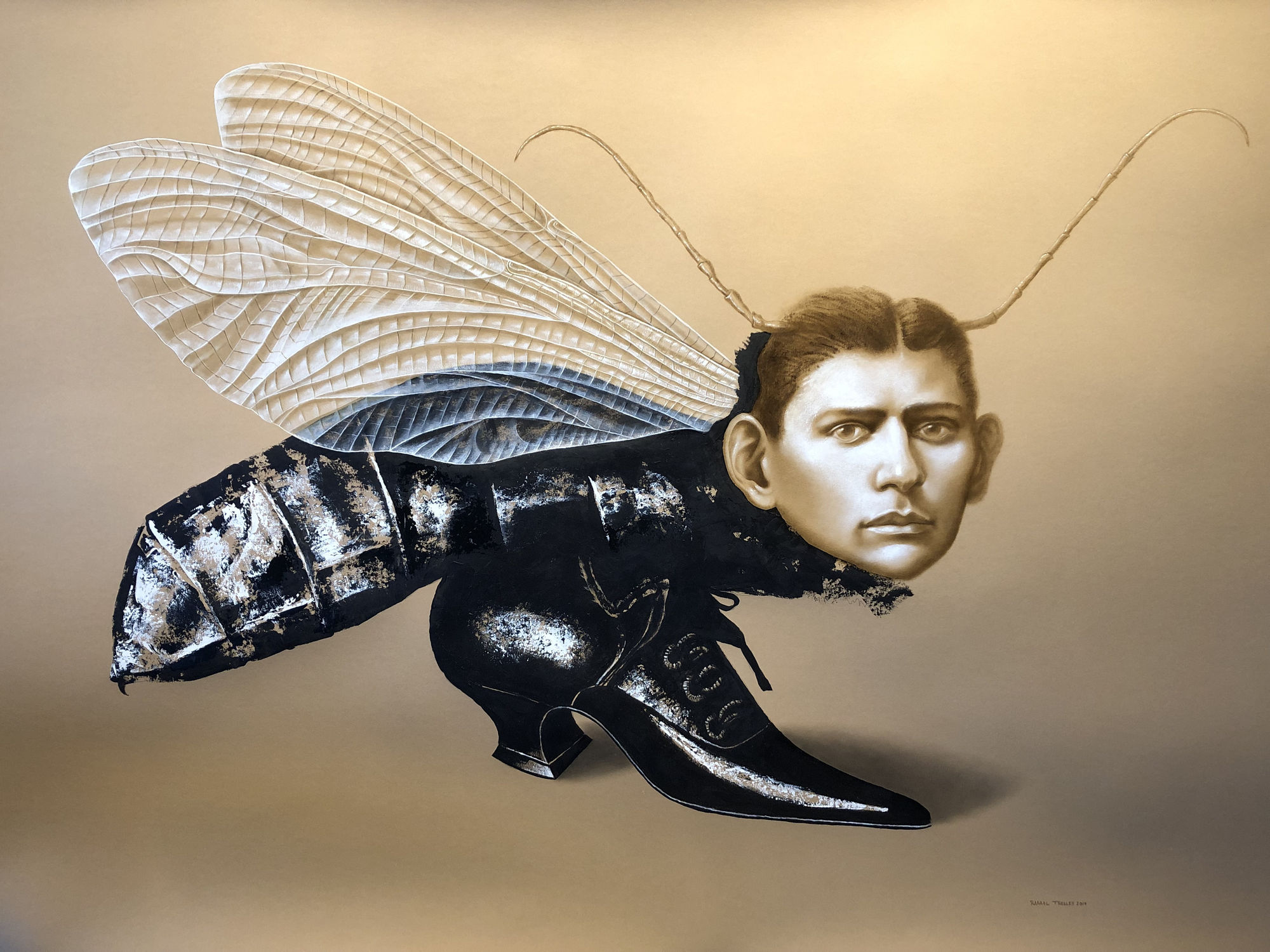 Rafael Trelles, The Metamorphosis, 2019