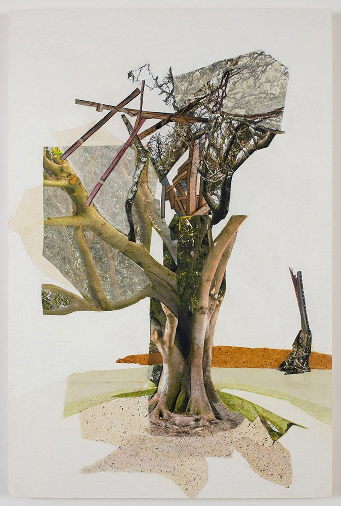 JENNIFER GUNLOCK SAPLING IV, 2023