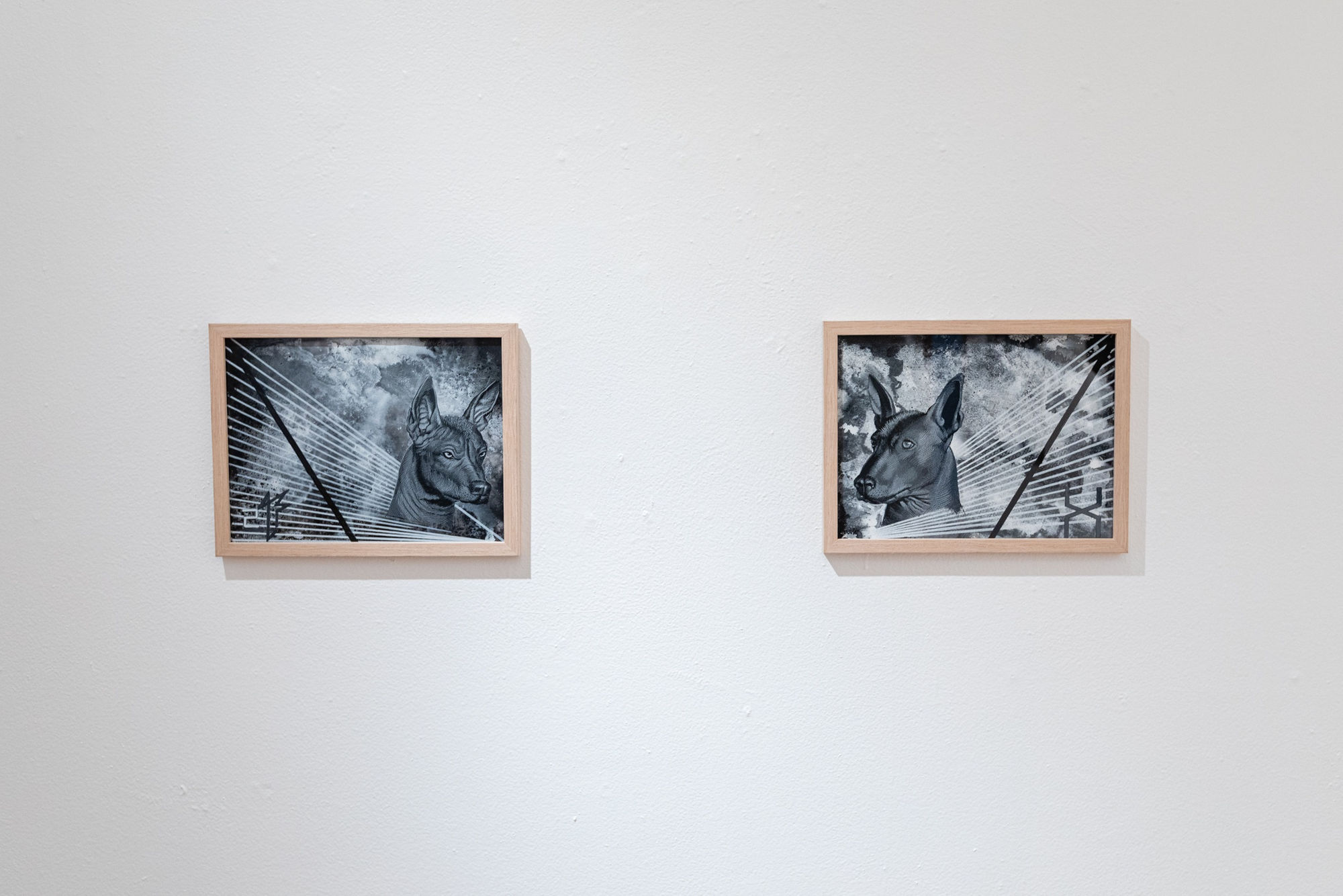 Abel Alejandre's The Chicano Moon Landing of 1968