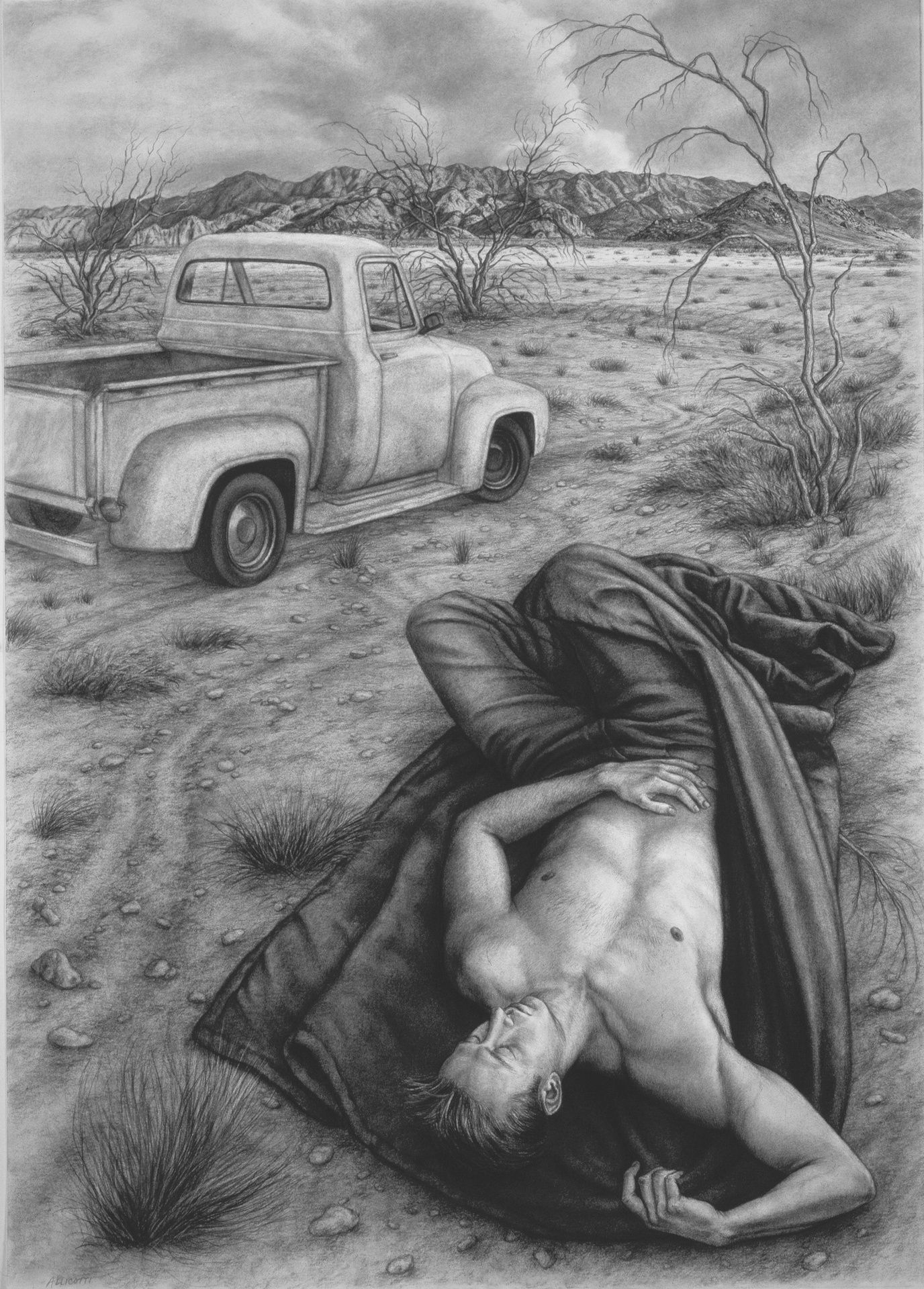 Sharon Allicotti Slumber at Chuckwalla, 2011