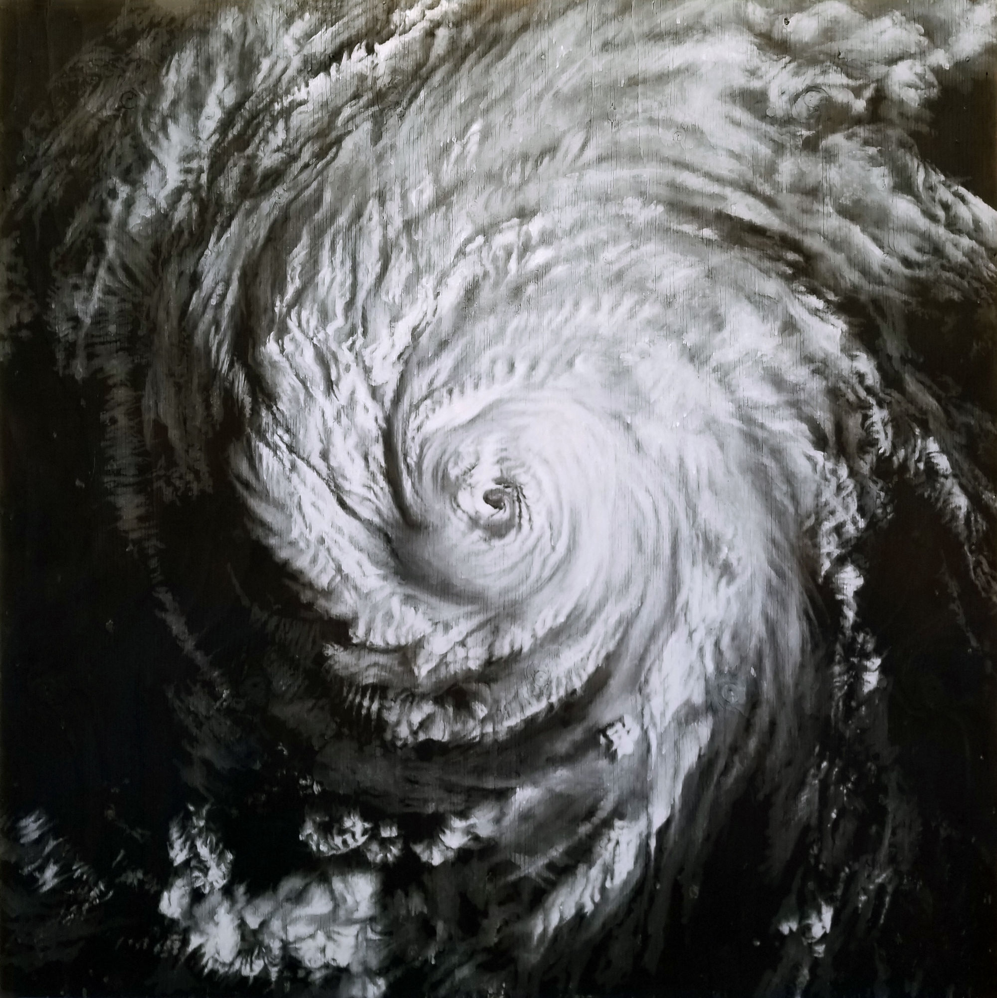 TOM PAZDERKA Ex Nihilo, 2024