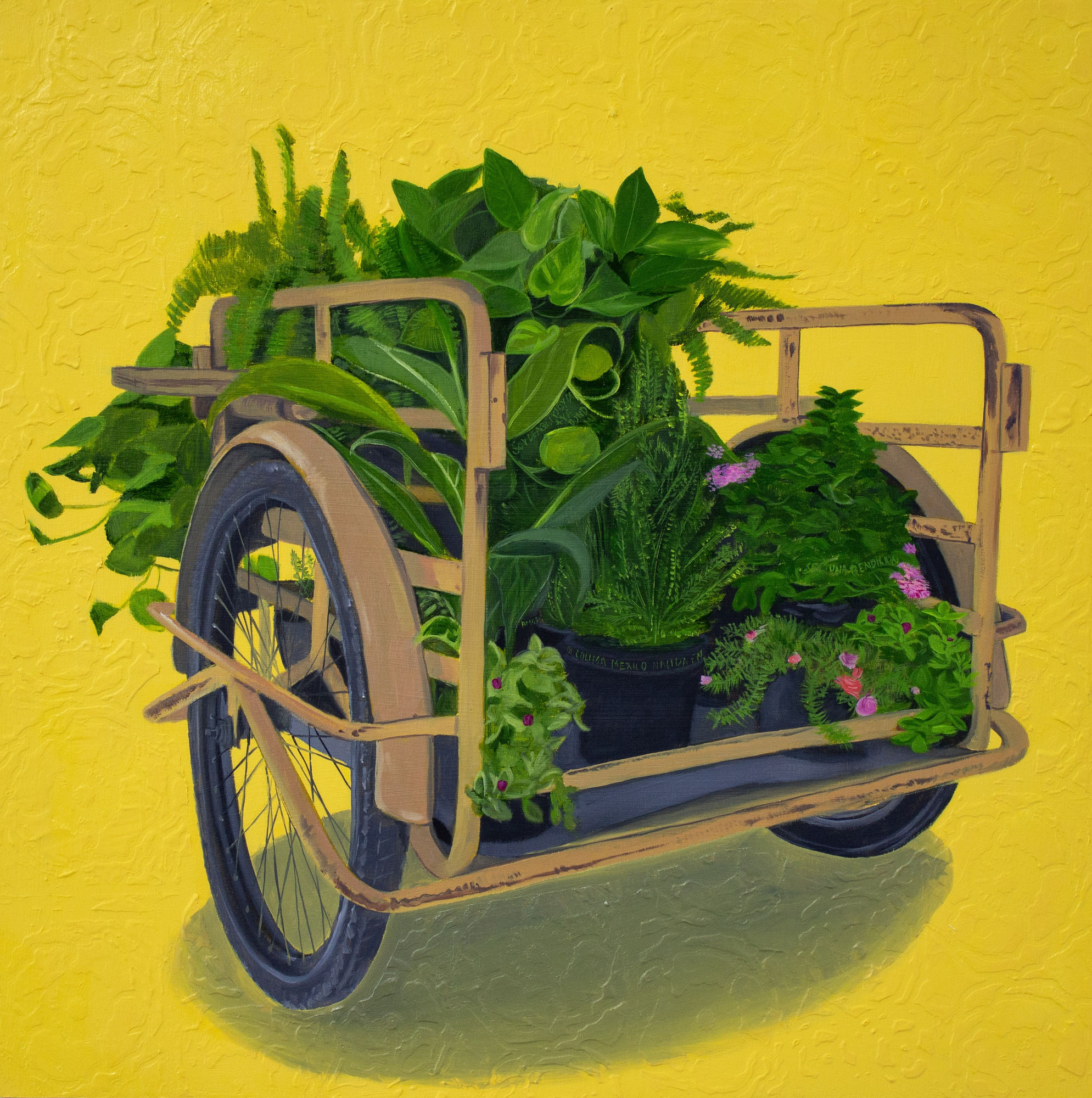 HEDY TORRES After Mercado Obregon, 2025