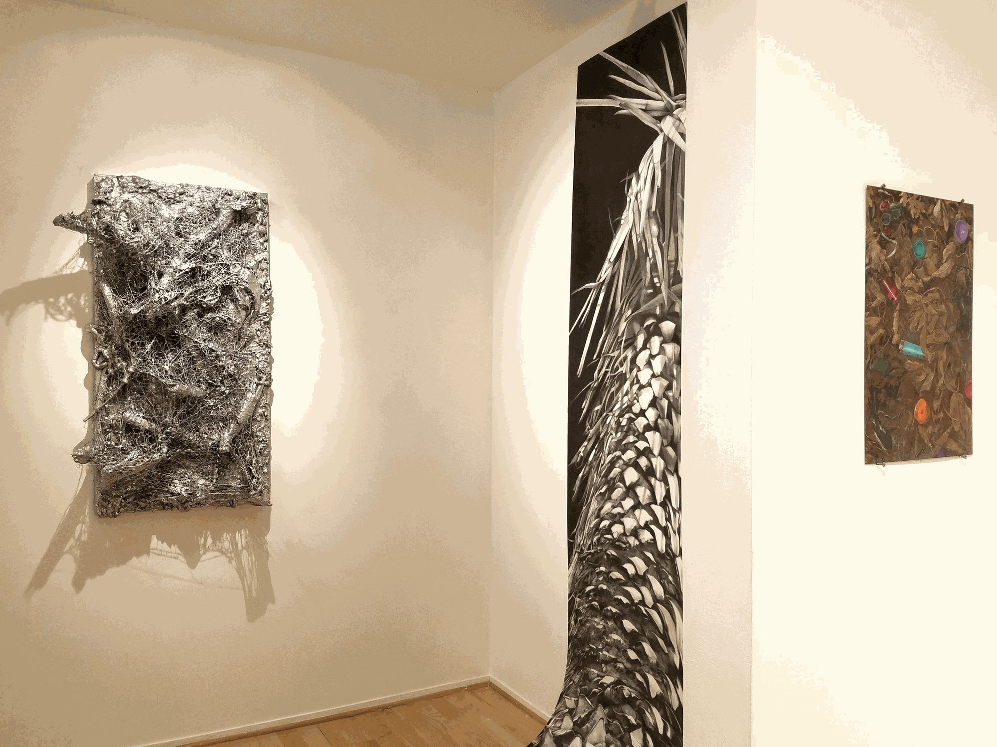 The Reality of Nature