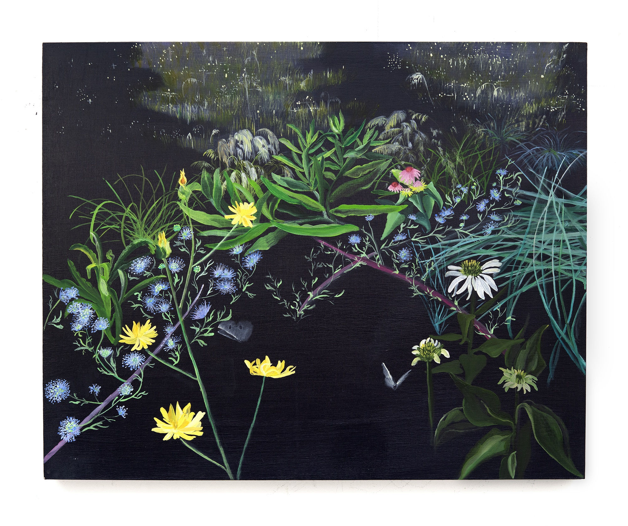 Deena Capparelli Place of Scarcity, 2021