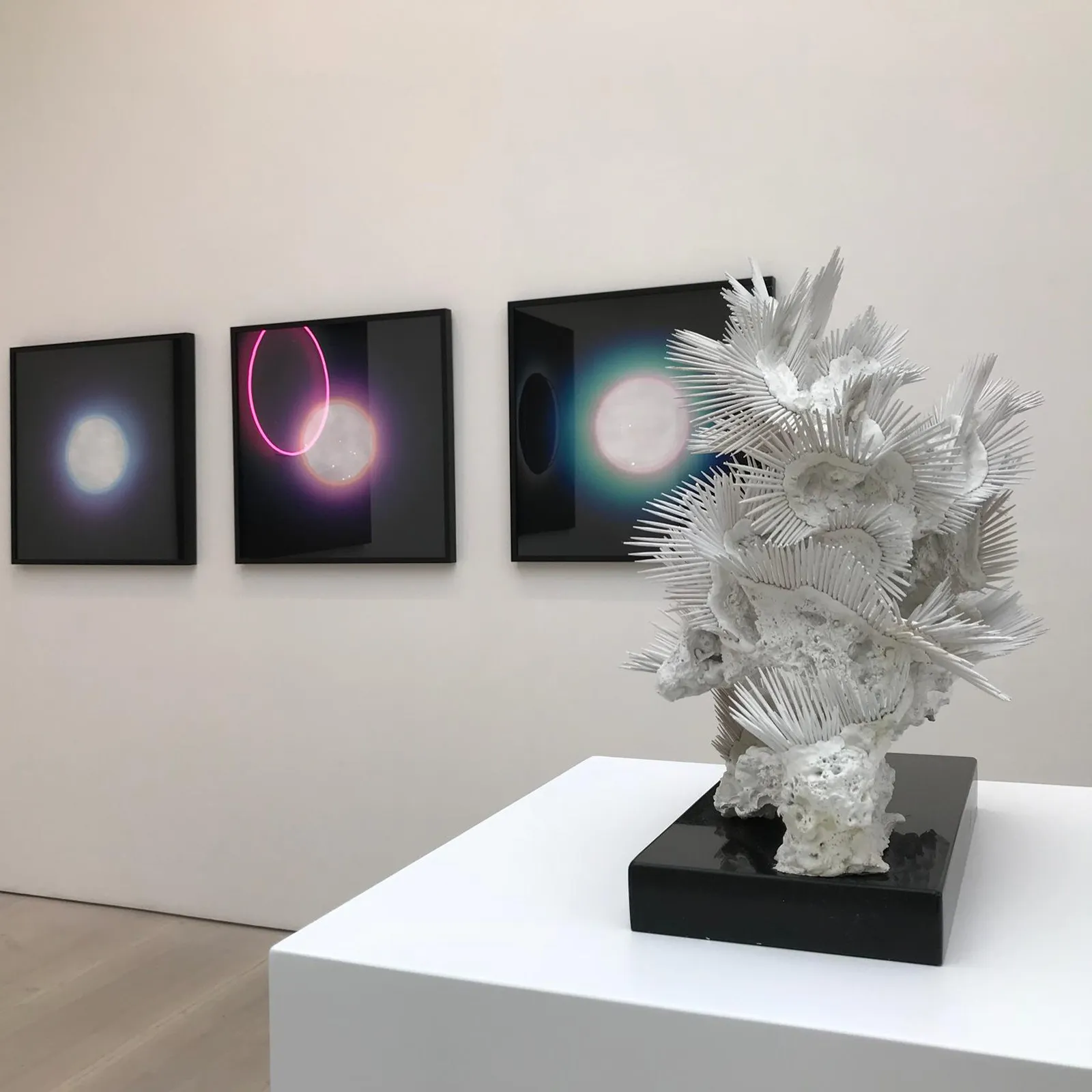 START AT SAATCHI GALLERY