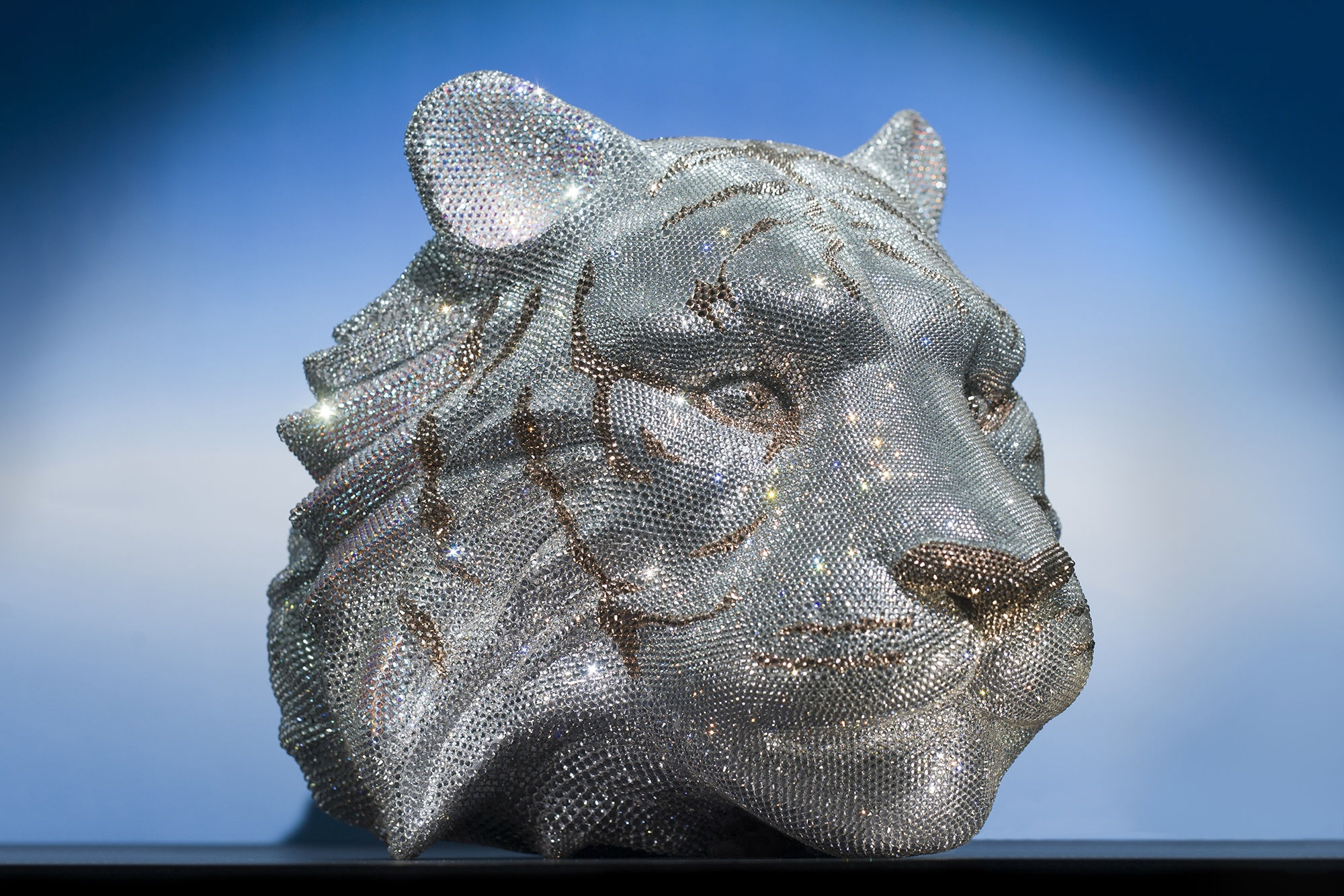 SAVE WILD TIGERS 2014 Curated by Lauren Baker