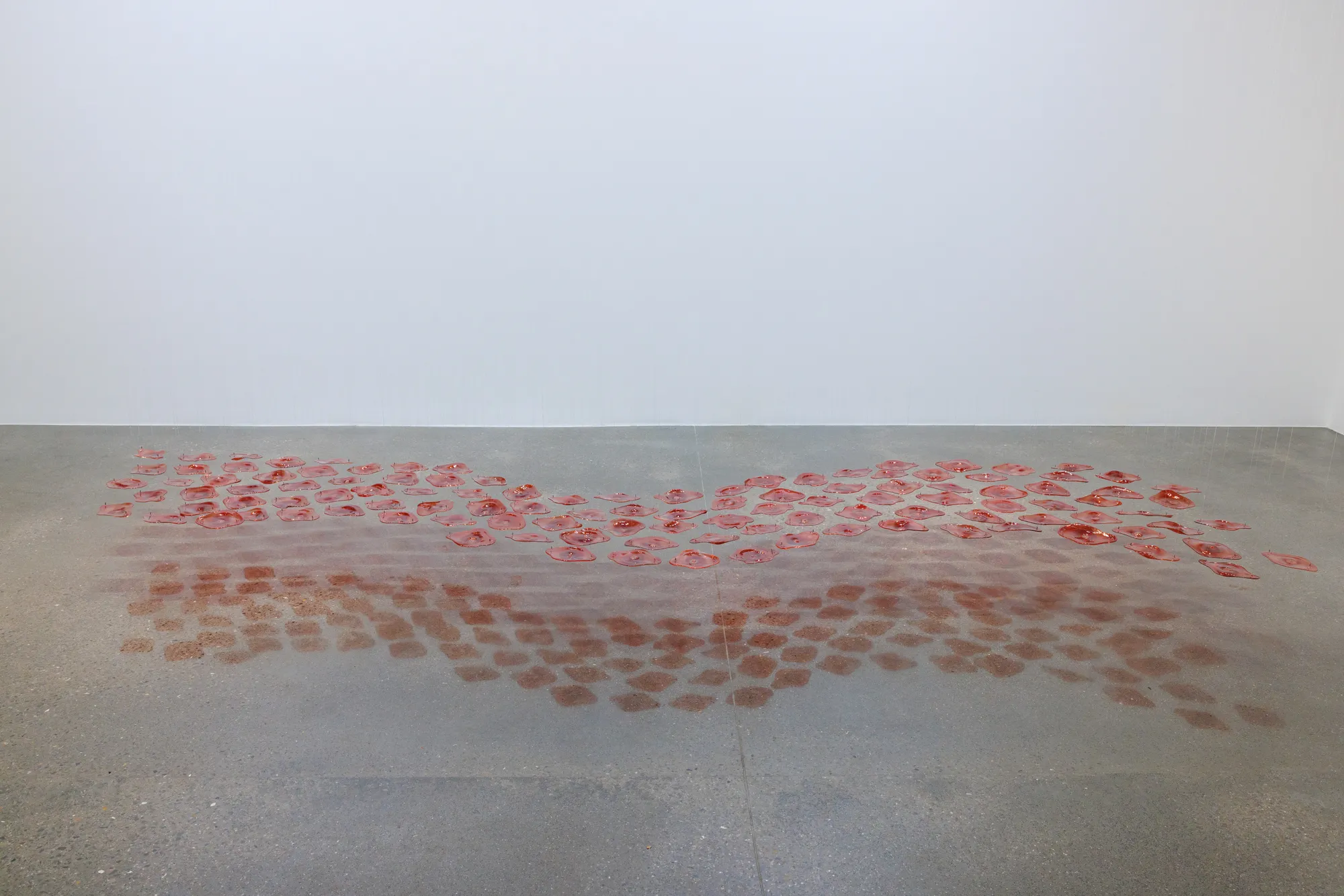 Dima Srouji The Red River, 2023 Hand-blown glass 250 pieces 150 x 550 cm