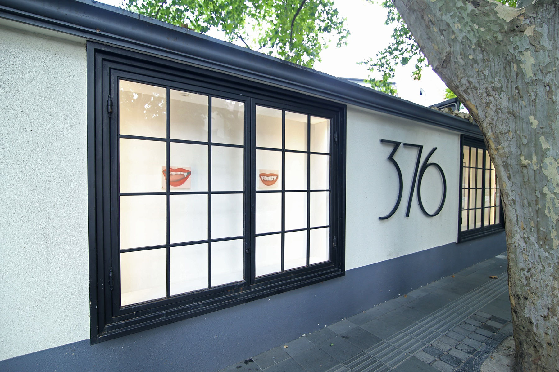 There May Be No Pearls in this Shell