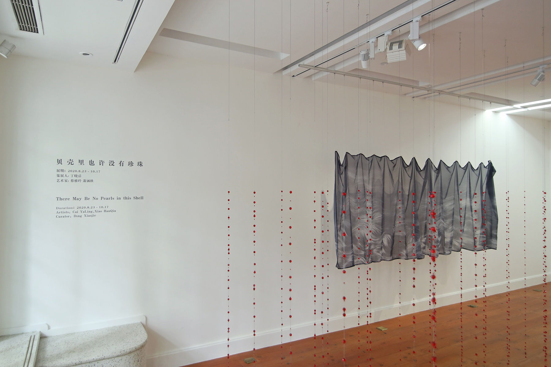 There May Be No Pearls in this Shell