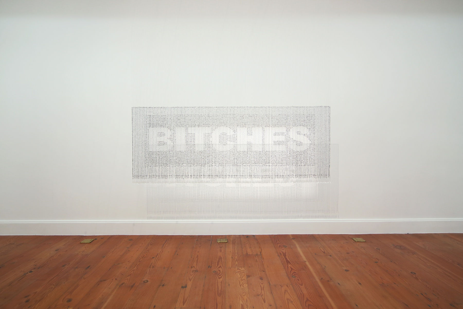 There May Be No Pearls in this Shell