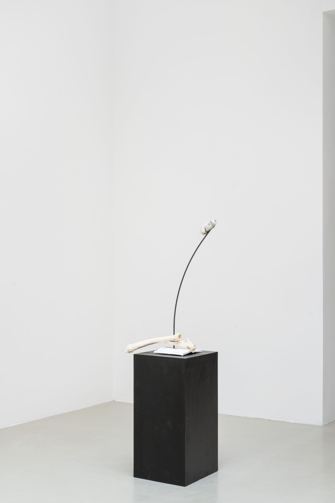 The Body Is Sacrament