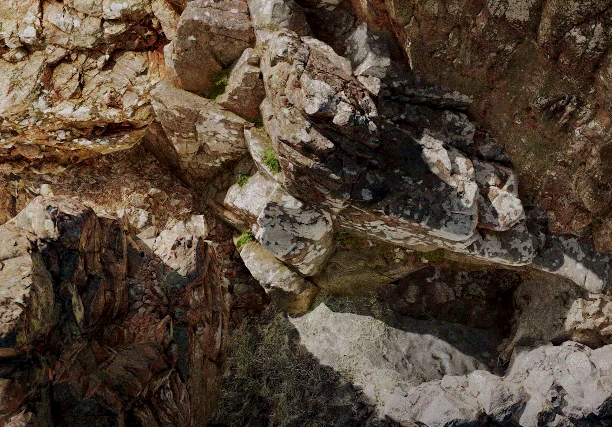 Davide Bernardis I Materia