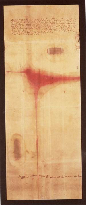 Monkey's fresco, 2001, pigmenti e olio di papavero su tela gommata, cm 185x74